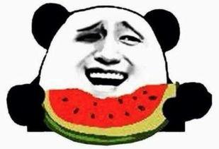 吃瓜群众 吃瓜视频天堂,揭秘吃瓜视频天堂背后的故事